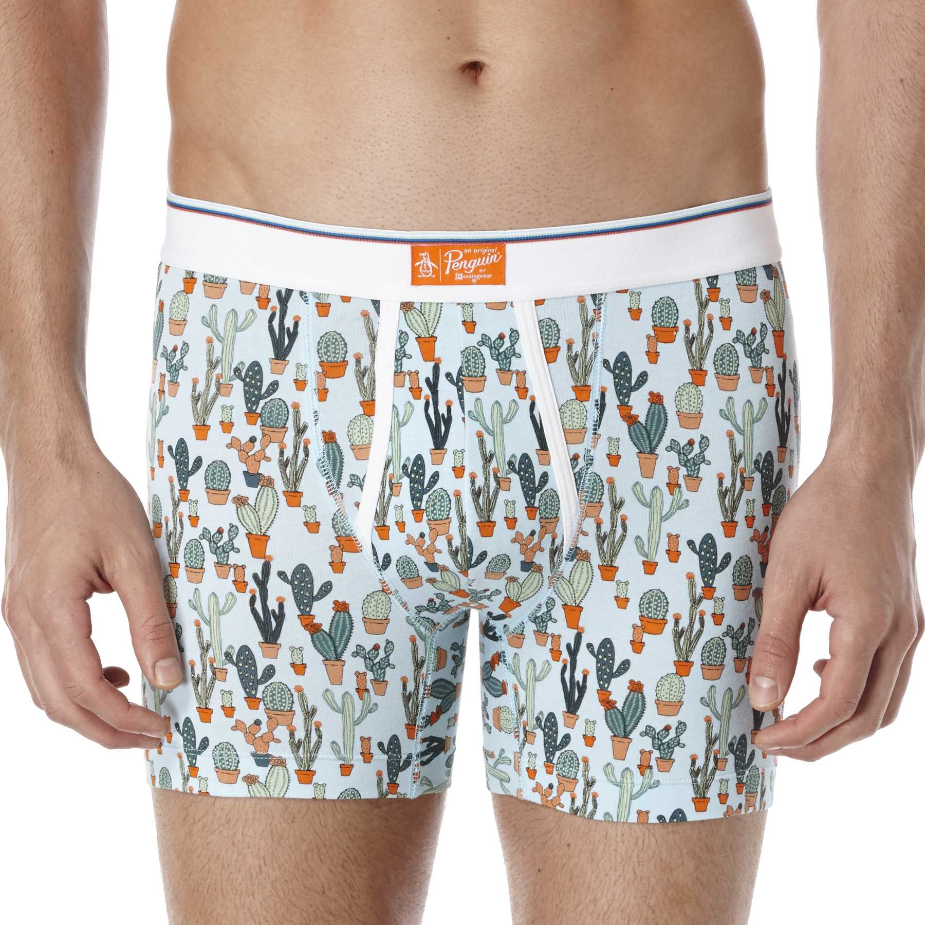 Original Penguin CACTUS POT BOXER BRIEF