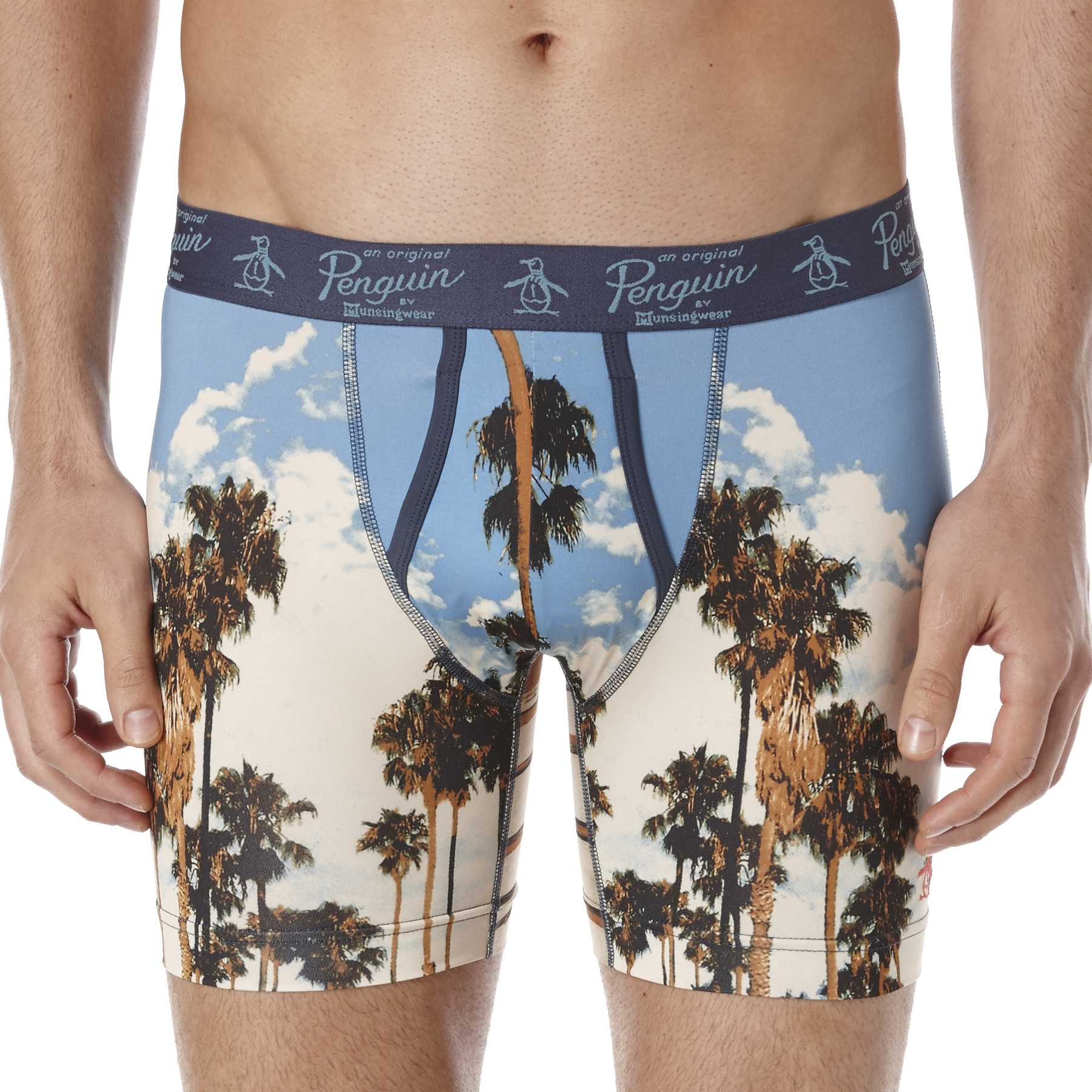 Original Penguin PALMS BOXER BRIEF