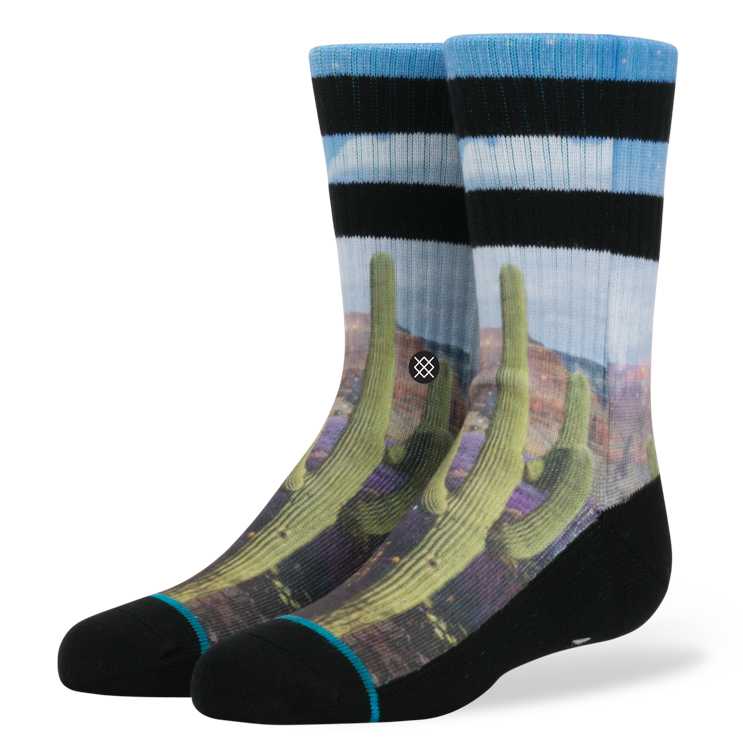 Stance Monument Boys boys Socks