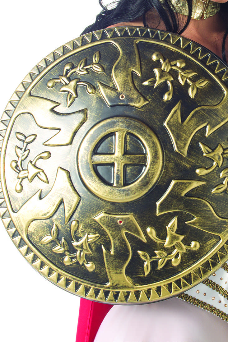 Warrior Shield Costume Accessory