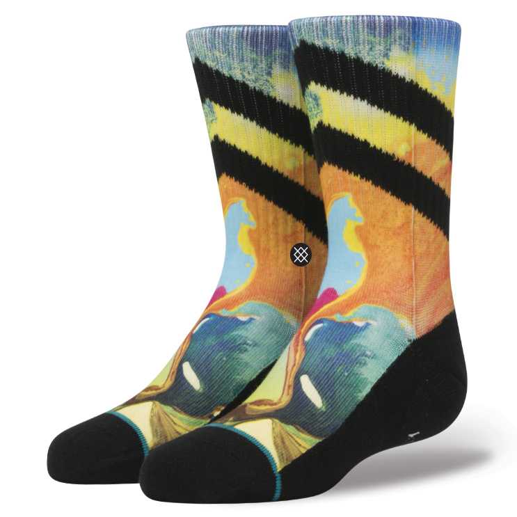 Stance Chems boys Socks