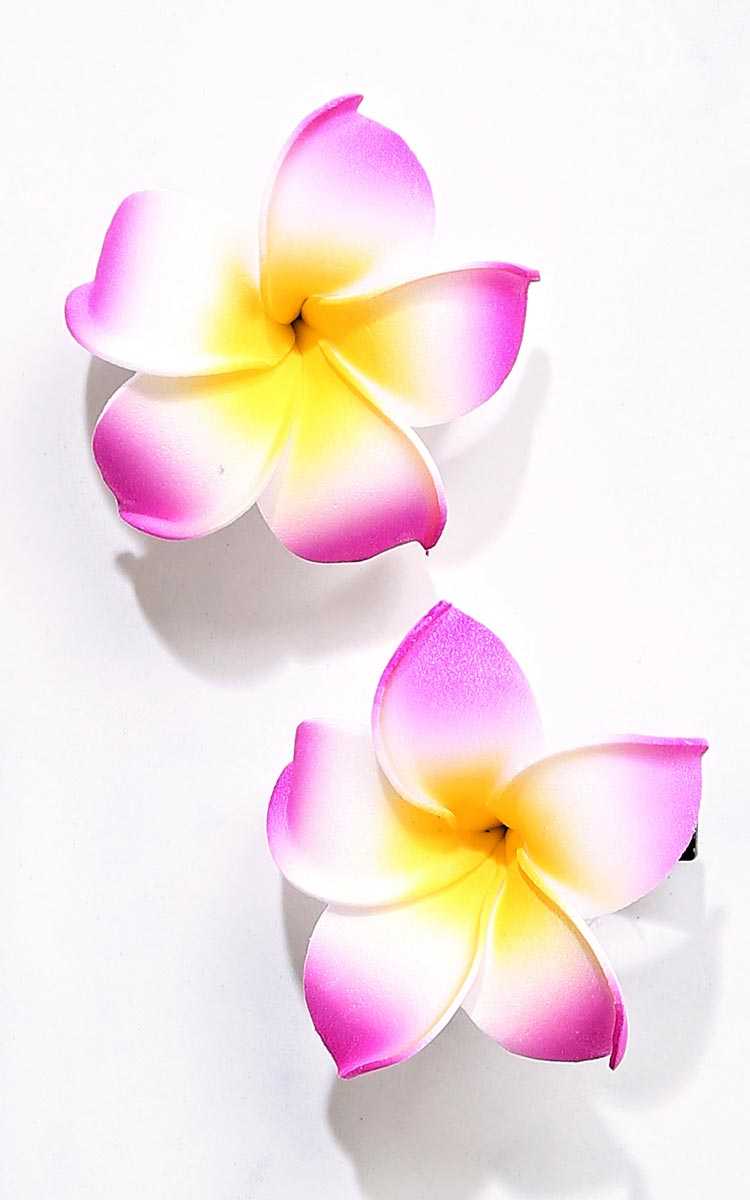 Ombre Plumeria Hair Clips - N/S - Assorted by Styles For Less
