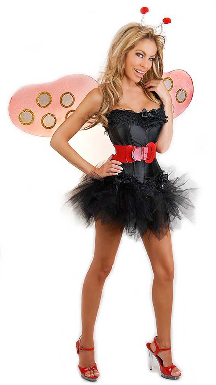 5 PC Sexy Ladybug Costume