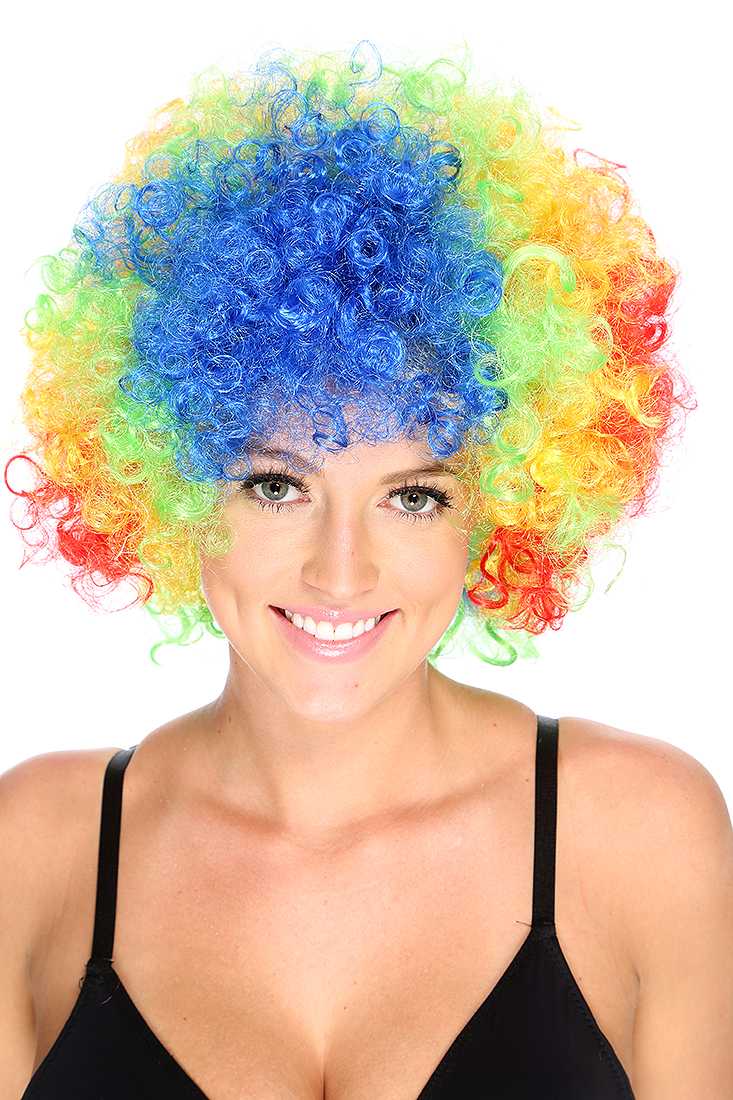 Rainbow Curly Afro Wig