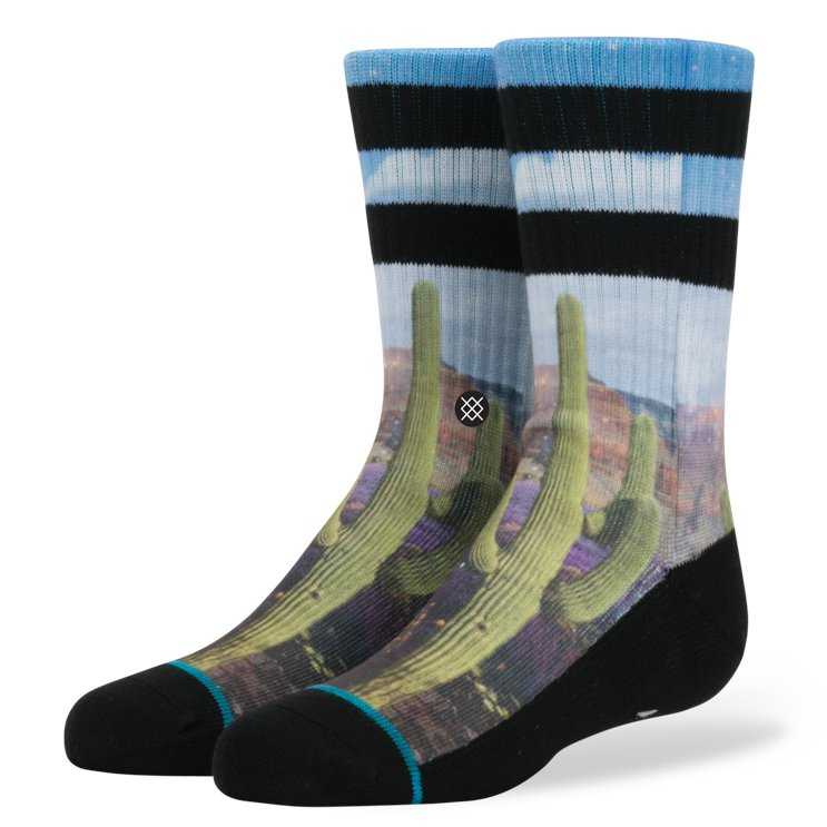 Stance Monument Boys BLU M boys Socks