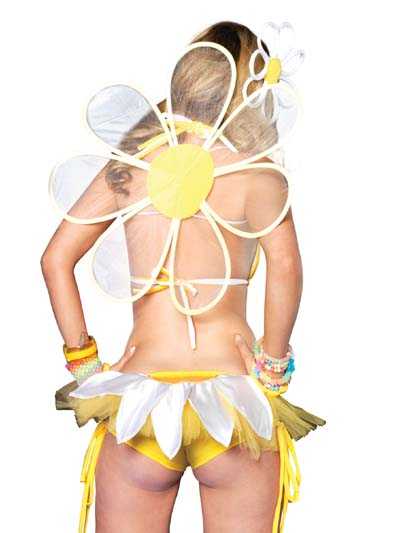 White Daisy Wings