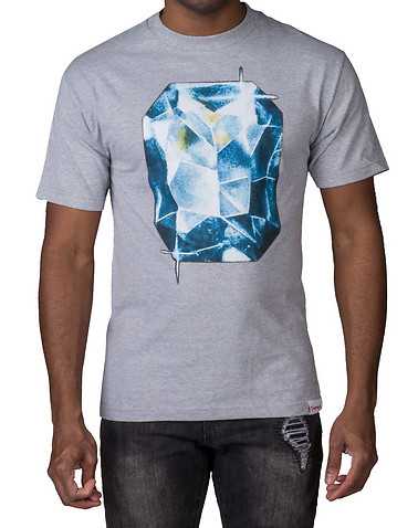 DIAMOND SUPPLY COMPANYENS Grey Clothing / Tees and Polos