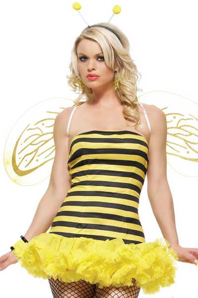 3 PC. Honey Bee Costume