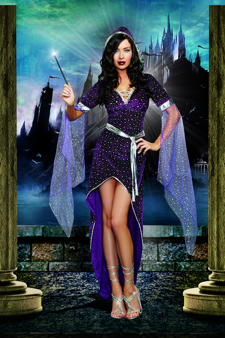 Sorcery And Seduction Sexy Fantasy 2 Piece Costume